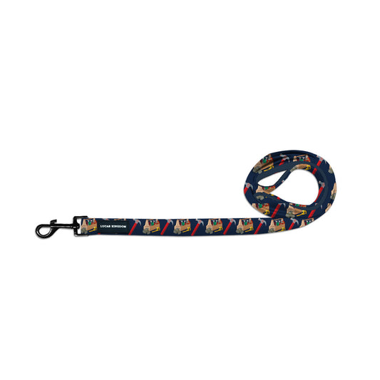 "Lucas The Builder"  Leash